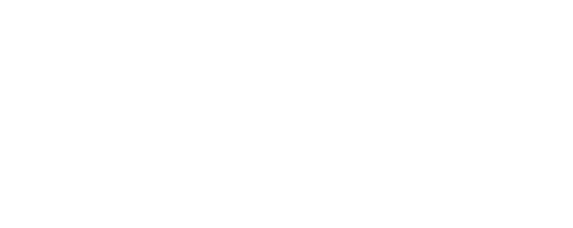 Miraiden